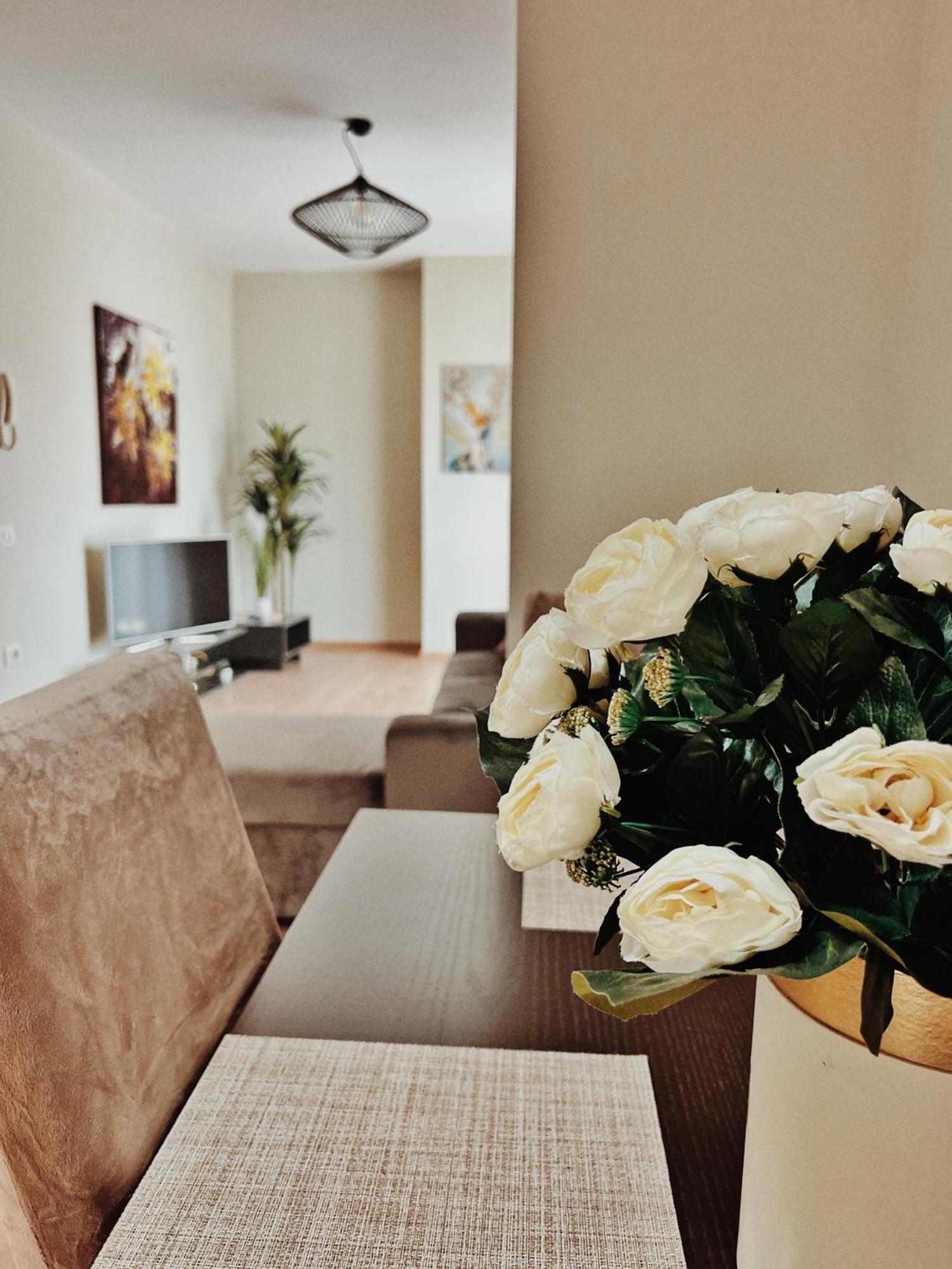 Cozy Rooftop - Your Home, Away From Home! * Tirana